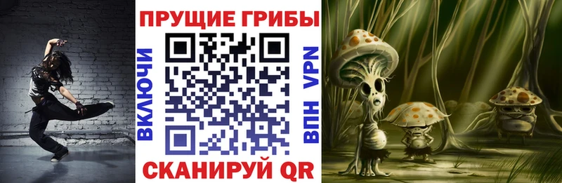 Псилоцибиновые грибы Psilocybe  Кириллов 